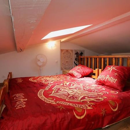 Harry Potter - Le Logis Du Petit Sorcier - Clim Lejlighed Carcassonne Eksteriør billede